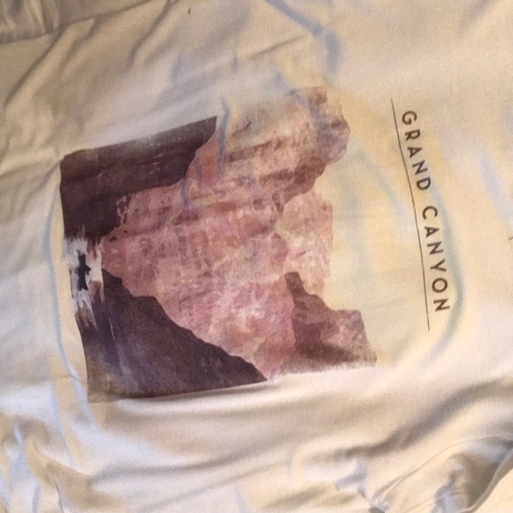 American eagle - Picture 2 of 3